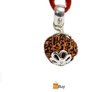 rudraksha pendant rudraksha necklace  rudraksha silver pendant  12 mukhi rudraksha rudraksha beads Rudraksha prayer beads 12 mukhi tweleve mukhi rudraksha japa beads buddha beads