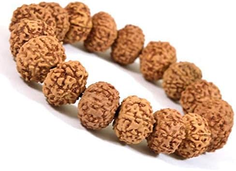 9 mukhi rudraksha bracelet 10mm for men women rudraksha bracelet certified rudraksha beads bracelet 5-mukhi rudraksha bracelet with metal capping bracelet for men women adjustable