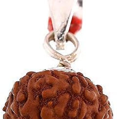 rudraksha pendant rudraksha necklace  rudraksha silver pendant  12 mukhi rudraksha rudraksha beads Rudraksha prayer beads 12 mukhi tweleve mukhi rudraksha japa beads buddha beads