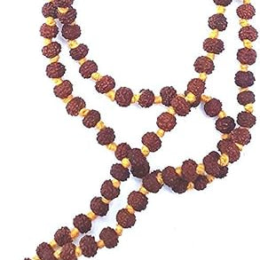 5 mukhi rudraksha mala 5 mukhi rudraksha original certified natural rudraksha mala 108 beads rudraksha beads hindu japa mala hindu pooja items rudraksha mala for men 108 beads mala for chanting hindu mala for god mala for pooja puja lord shiva jaap mala for men women rudraksha beads meditation mala beads spiritual gifts five face rudraksha hindu gifts nepali rudraksha mala rudraksha thread 5 mukhi rudraksha mala 108 beads rudraksha beads hindu japa mala