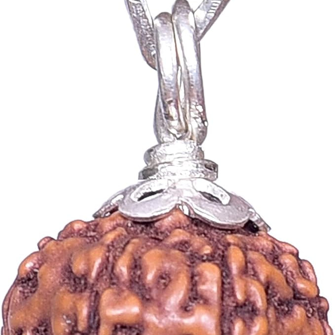 8 mukhi rudraksha with certificate rudraksha pendant rudraksha silver pendant for men women