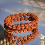 5 mukhi rudraksha bracelet 10mm for men women rudraksha bracelet certified rudraksha beads bracelet 5-mukhi rudraksha bracelet with metal capping bracelet for men women adjustable