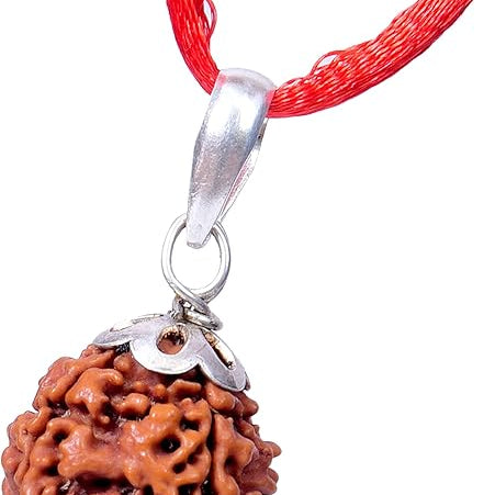 7 mukhi rudraksha original 7 mukhi rudraksha certified rudraksha beads rudraksha single rudraksha pendant rudraksha silver pendant nepali rudraksha 7 face rudraksha