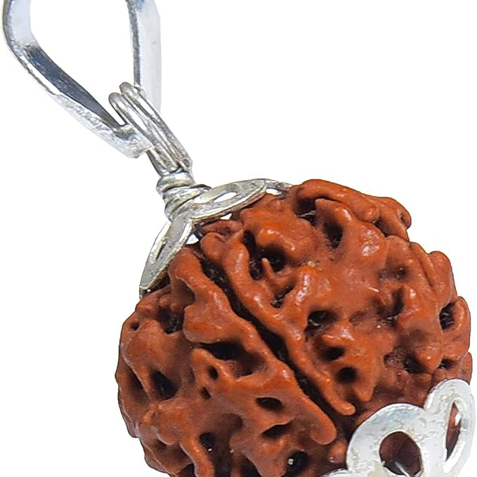 6 mukhi rudraksha rudraksha pendant rudraksha silver pendant for men women