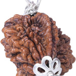 2 mukhi rudraksha silver pendant silver rudraksha mala nepali rudraksha rudraksha pendant certified original rudraksha natural rudraksha  for men women  hindu god pendant