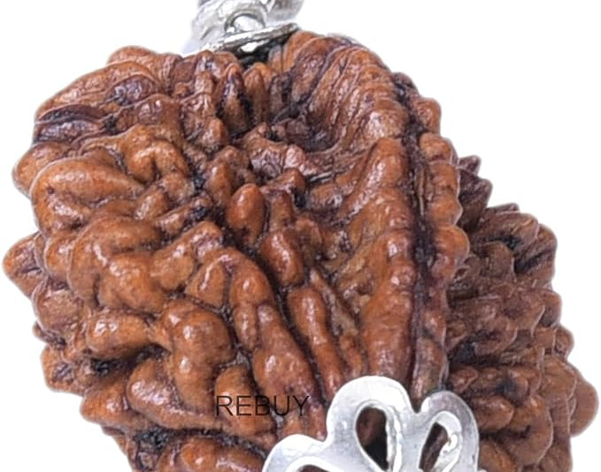 2 mukhi rudraksha silver pendant silver rudraksha mala nepali rudraksha rudraksha pendant certified original rudraksha natural rudraksha  for men women  hindu god pendant