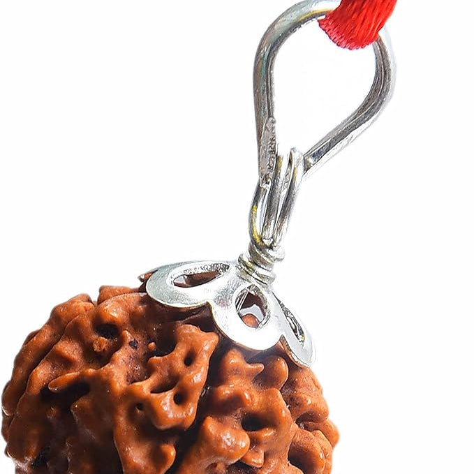 6 mukhi rudraksha rudraksha pendant rudraksha silver pendant for men women