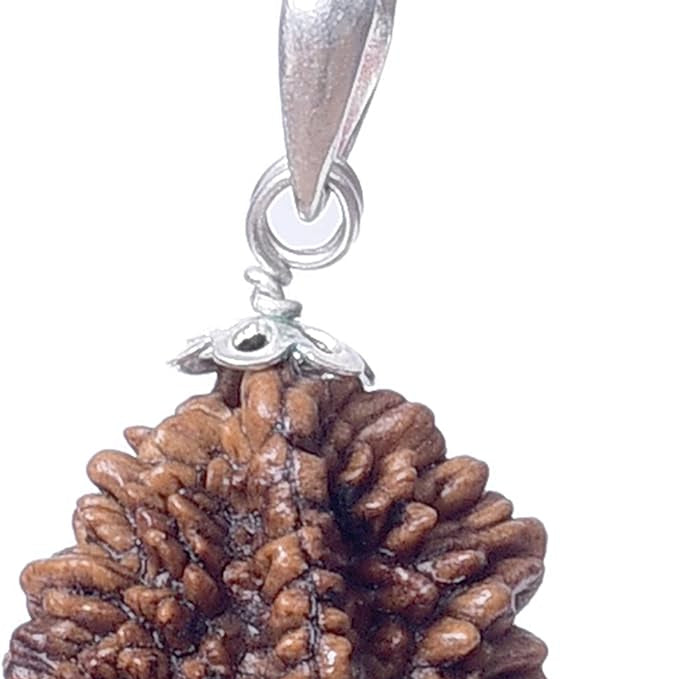 2 mukhi rudraksha silver pendant silver rudraksha mala nepali rudraksha rudraksha pendant certified original rudraksha natural rudraksha  for men women  hindu god pendant